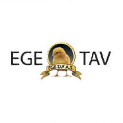 Ege Tav